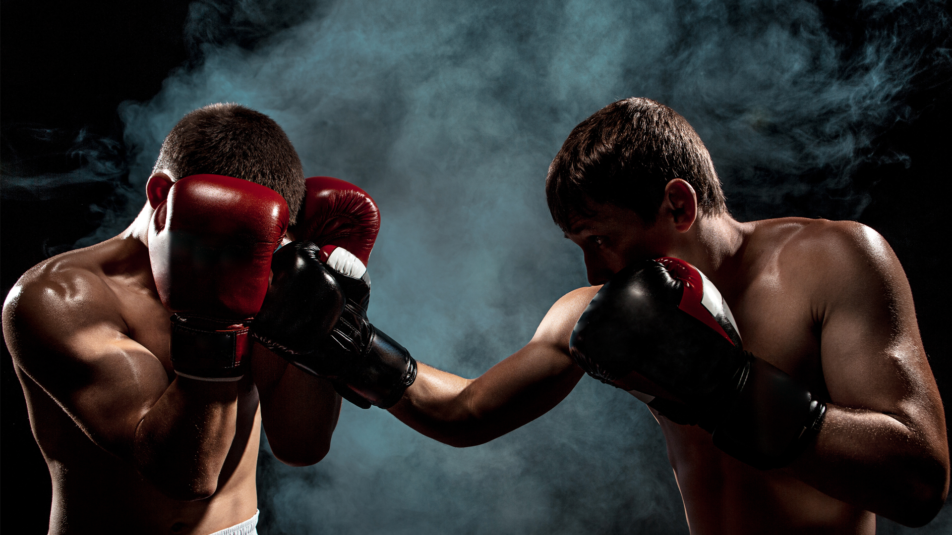 BARE KNUCKLE NZ 2023