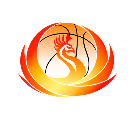 Феникс ТВ