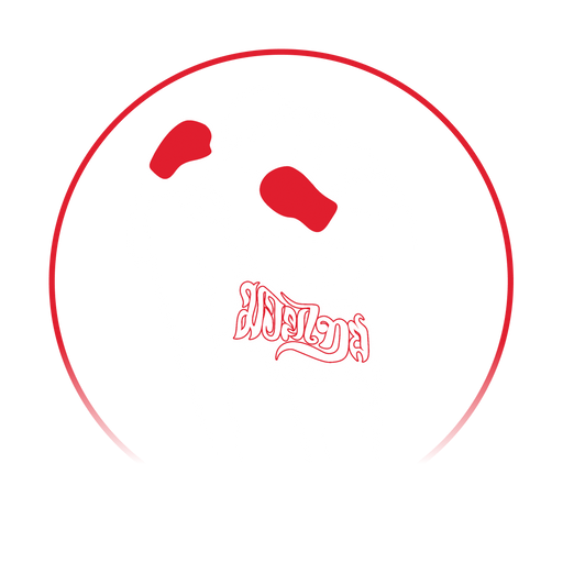 NOBOUNDARYFIGHT