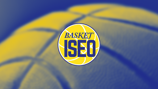 SYNETO BASKET